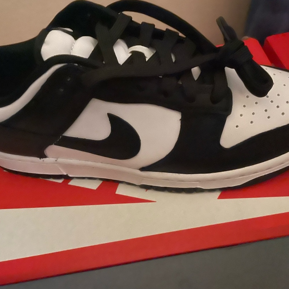 Brand new Jordan dunks!